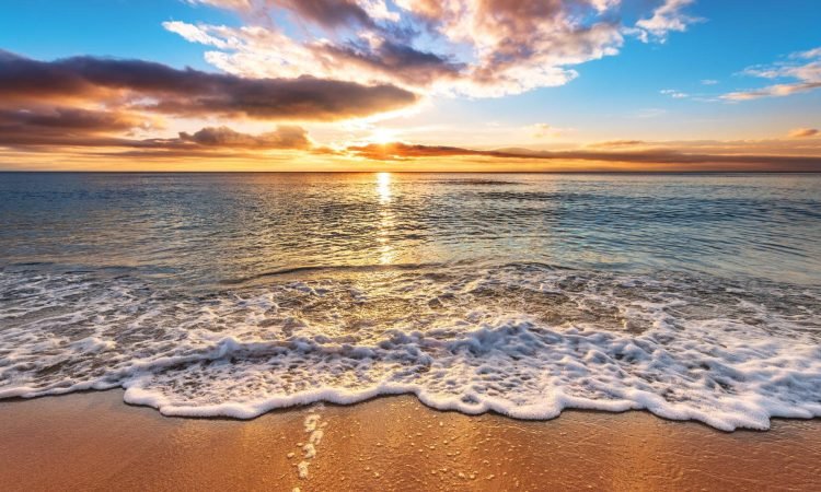 Sunrisevibrant-beach-sunrise-landscape-a1bm4r9qo864434i-2508615383
